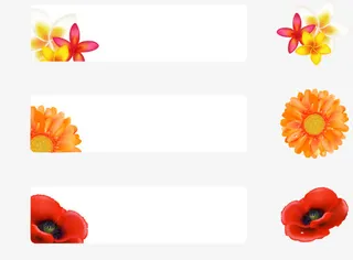 矢量图三张小纸片免抠