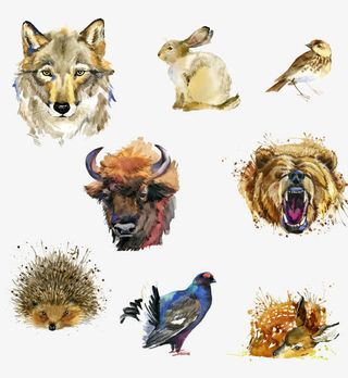 水彩风动物头像免抠