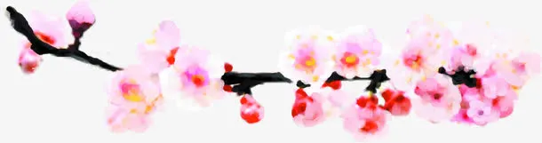 粉色鲜花花朵梅花美景免抠