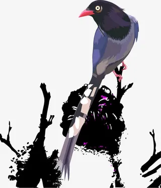 矢量手绘喜鹊登枝免抠