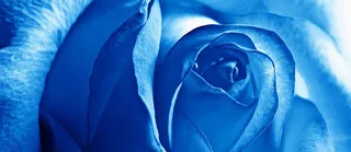 淘宝 天猫 banner 背景高清