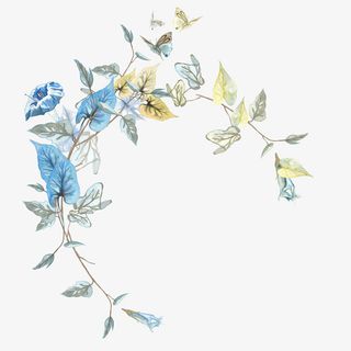 绿色牵牛花上的蝴蝶免抠