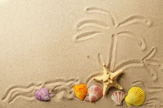 沙滩上的海星与贝壳免抠背景底纹元素