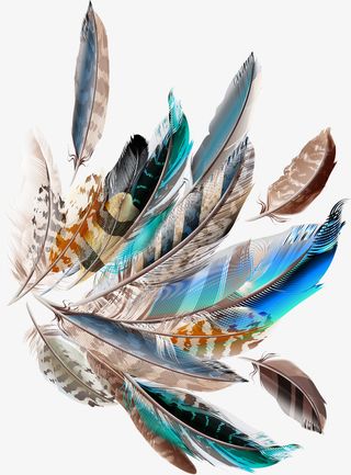 精致彩色羽毛免抠png装饰免抠