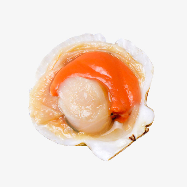 烧烤粉丝扇贝免抠