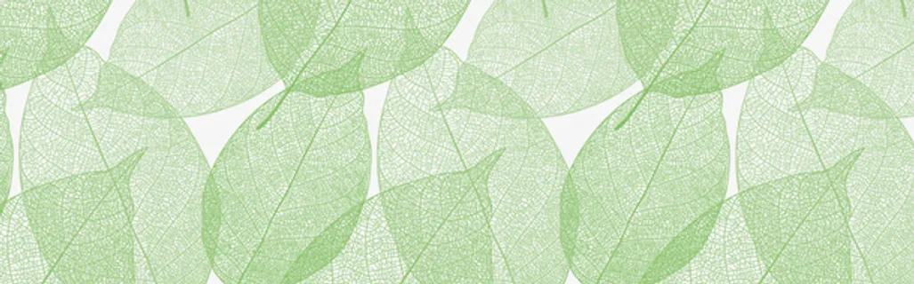 春天绿色叶子装饰免抠