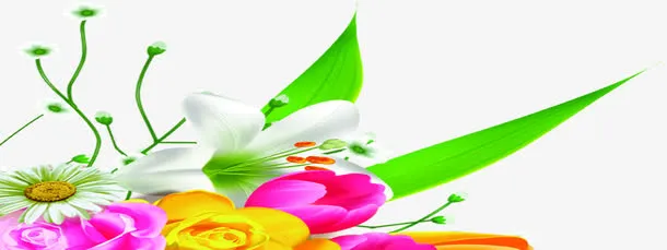 手绘花朵绿叶医院装饰免抠