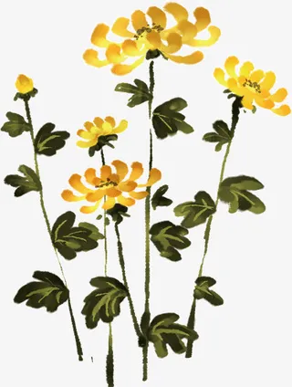 中国风墨迹黄色菊花免抠