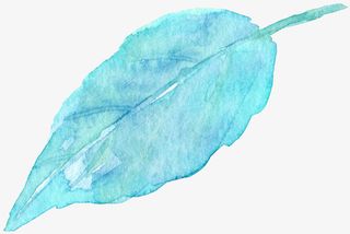 水彩叶子免抠