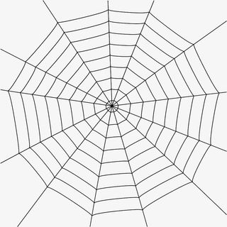 手绘黑色卡通蜘蛛网免抠