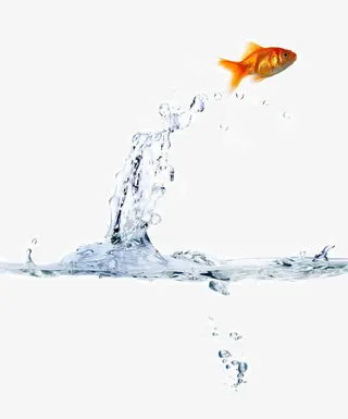 跃出水面奔向自由的鱼免抠