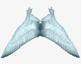 白色天使翅膀PNG透明背景素材