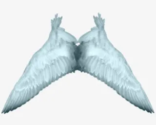 白色天使翅膀PNG透明背景素材