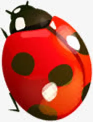 春天红色手绘昆虫免抠