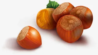 新鲜的榛子中秋素材免抠