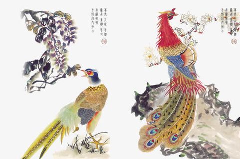 中国风花鸟素材免抠