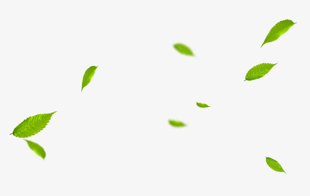 飘动的叶子免抠