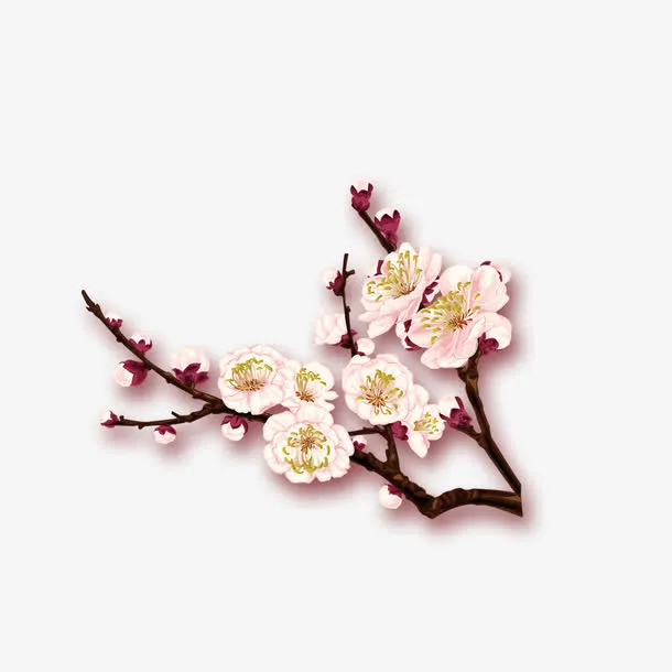 冬日里的梅花免抠