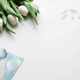 清新百合简约背景图高清