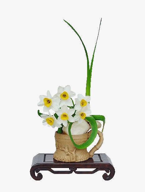 简约水仙花免抠素材免抠