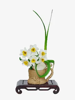 简约水仙花免抠素材免抠 简约水仙花免抠素材免抠