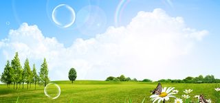 花朵天空菊花小草草地海报banner高清