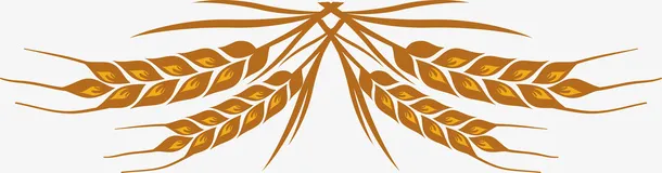农作物矢量麦子素材图免抠