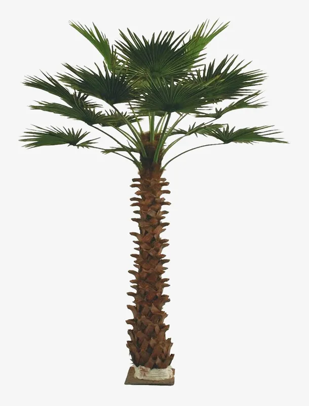 一棵绿色棕树免抠