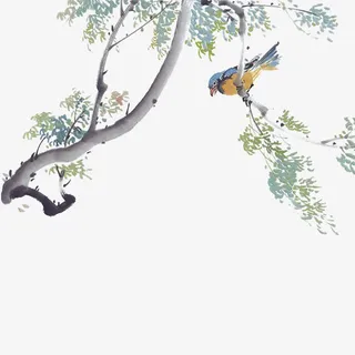 水彩古风树枝小鸟免抠