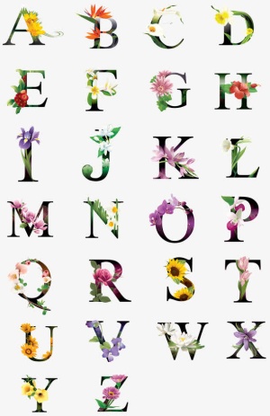 鲜花花纹字母合集免抠字体元素