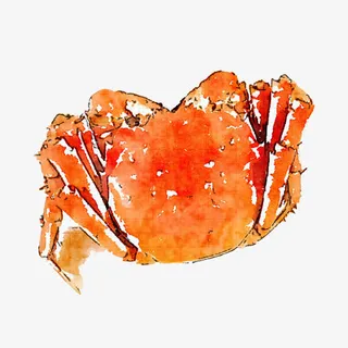 毛蟹手绘画素材图片免抠