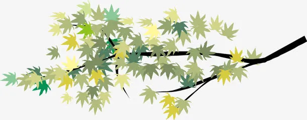 矢量插图树枝叶免抠