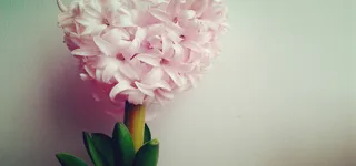 淘宝背景图高清