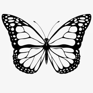 黑色镂空蝴蝶装饰图案免抠