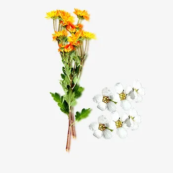 一束鲜花免抠