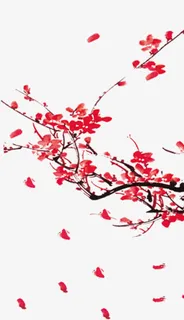 中国风红梅免抠
