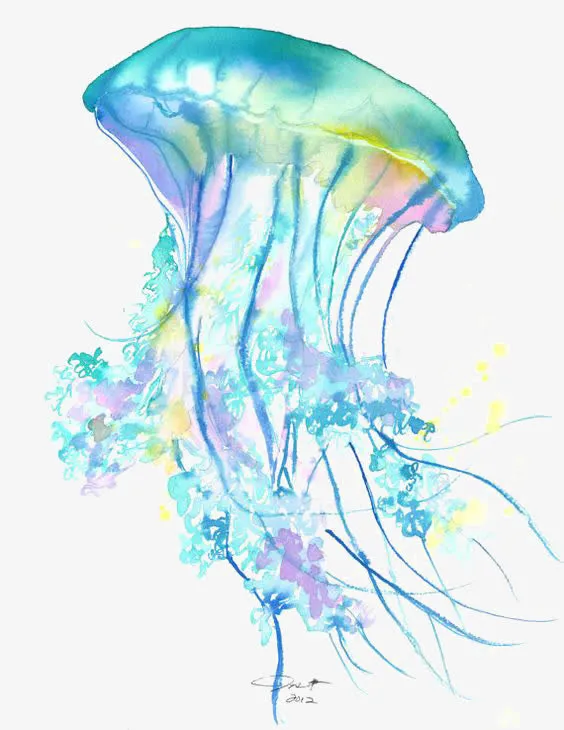 水母免抠