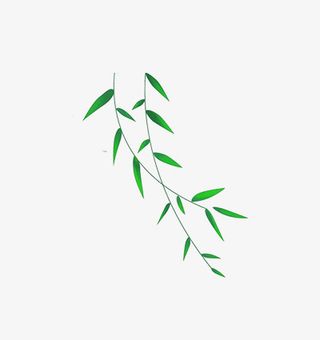 春天树叶叶子绿色免抠