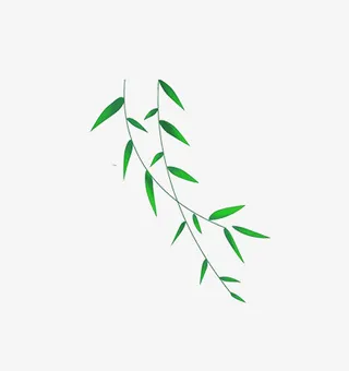 春天树叶叶子绿色免抠