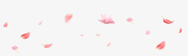 花瓣免抠