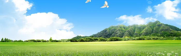 时尚小清新背景图高清
