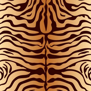 底纹 纹理 背景 动物纹理