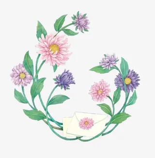 手绘菊花信封植物素材免抠