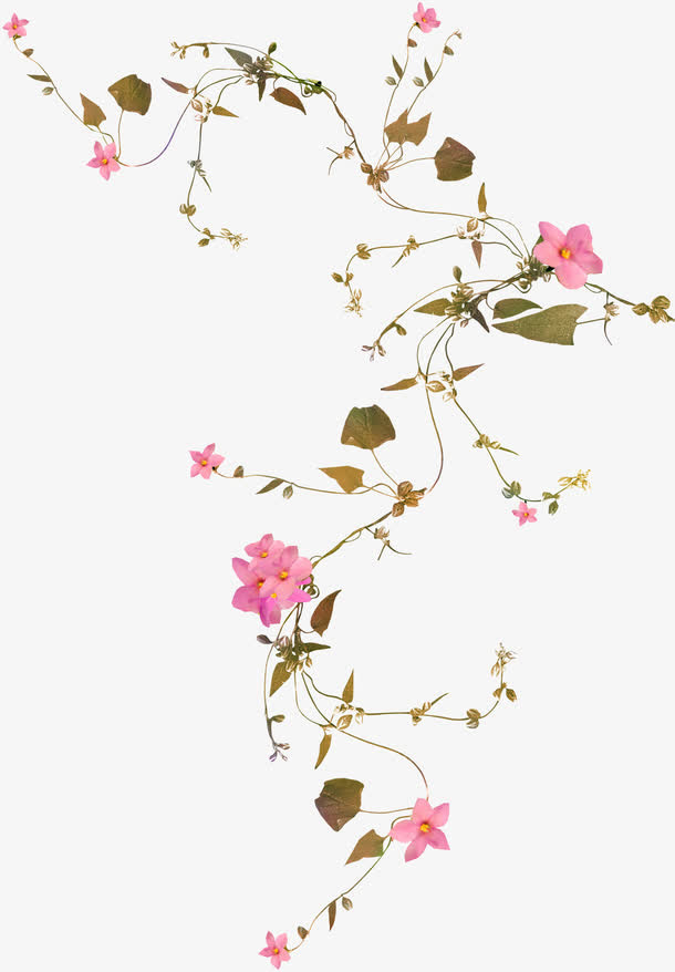中国风粉色花朵免抠