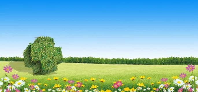 绿色医疗背景免抠 绿色医疗背景免抠