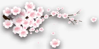 手绘粉红色梅花树枝免抠