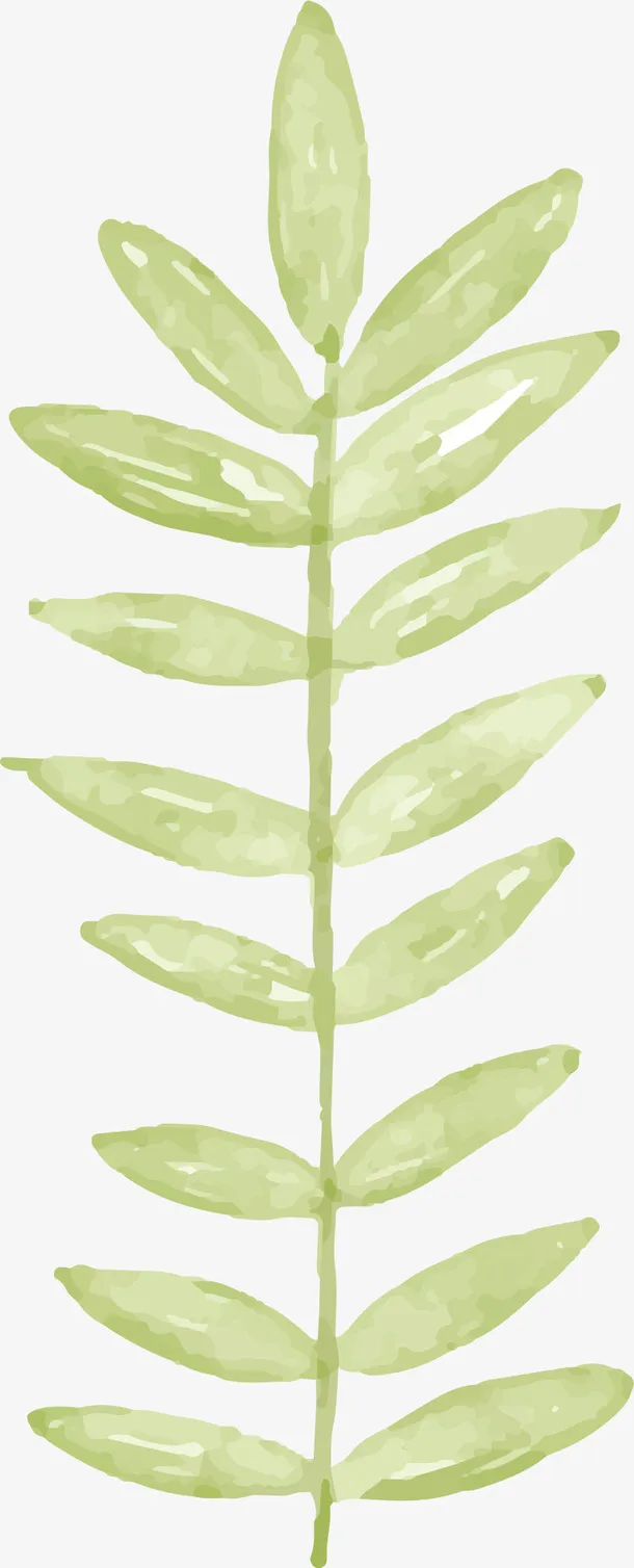 水墨春天绿叶免抠