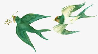 春天-水墨风燕子免抠图免抠动植物植物元素