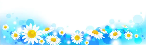 清新野菊花背景banner