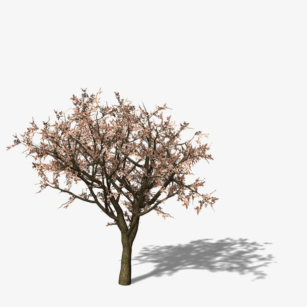 花开满树免抠漂浮花瓣元素